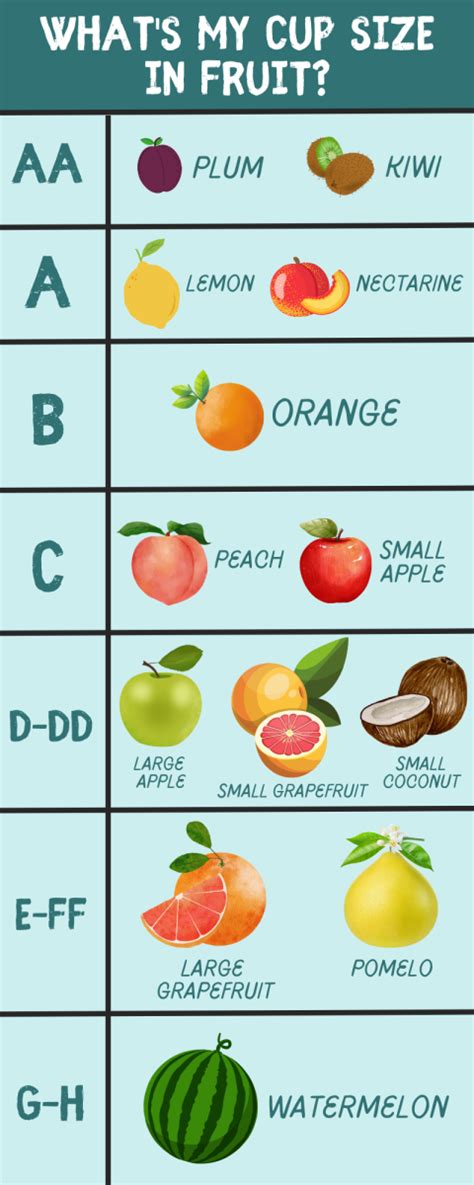 breast cup sizes pictures|c cup breast size example.